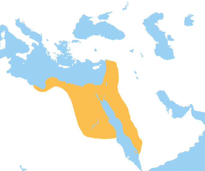 ColorImperio's tweet photo. El Imperio Mameluco dominó Egipto y Oriente Medio durante casi 3 siglos. Los mamelucos eran adquiridos como esclavos siendo niños, entrenados en artes militares y en una fidelidad absoluta a sus dueños. Descúbrelo en #Elcolordelimperio
#NovelaHistorica https://t.co/fjFU60P6vw