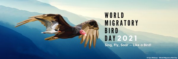 Aujourd'hui, c'est la Journée Mondiale des Oiseaux migrateurs, alors "Chante, vole, élève-toi comme un oiseau !". Et surtout : levez les yeux 😉
Plus d'infos sur worldmigratorybirdday.org
#WMBD2021