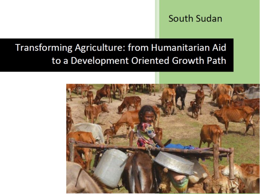 New @WorldBank report features @cordaidss and our partners' (@SPARKorg & @Agriterra) work on transforming agriculture in @southsudan in a nexus way. We support of community-based services and the development of private initiatives such as seed companies, agro-dealers, etc.