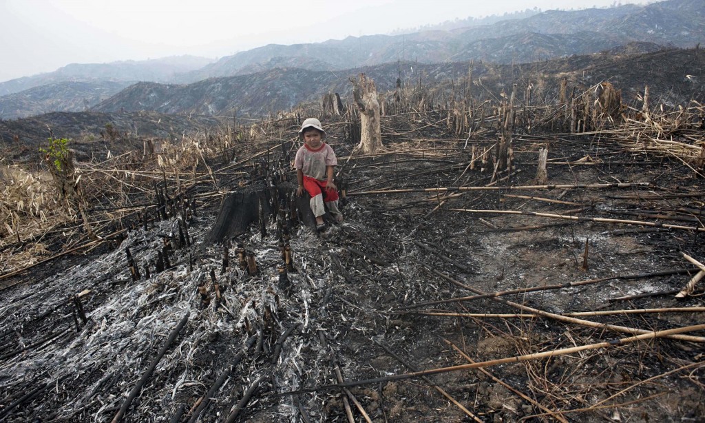 PalmOilDetect's tweet photo. @yoshikochan @AlexisDraws @sw_inku @hotspringsummer 😿 Ben and Jerry's is owned by @Unilever and they are one of the 🌍 worst for #humanrights abuses #deforestation #pollution #animaltesting #iilegal #indigenous #landgrabbing for #palmoil in the developing world, despite being an @RSPOtweets member https://t.co/NMP1VtHdPU https://t.co/ZtnU6XHrQa