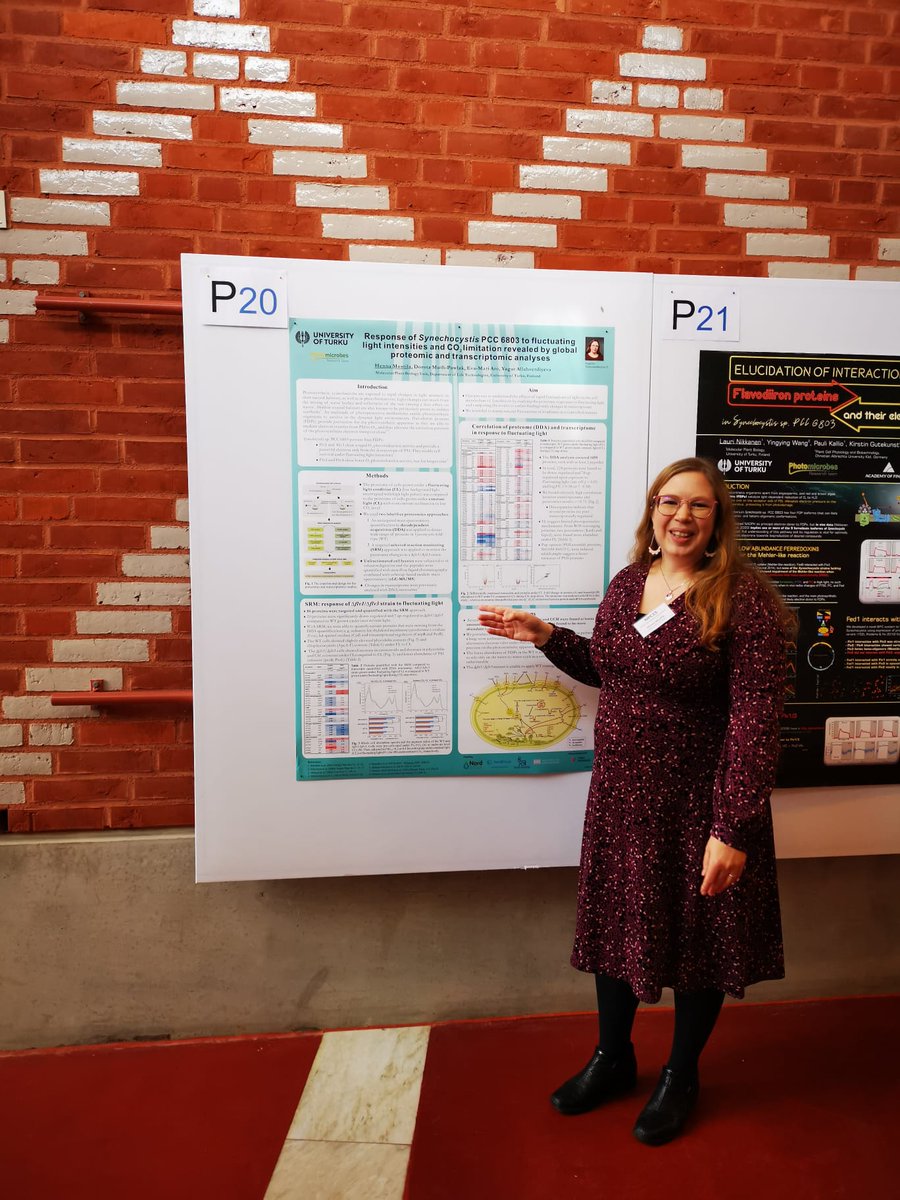 PhotoMicrobes's tweet photo. Our posters at @photocongress. Lively discussions during the poster sessions and coffee breaks throughout the conference days. Well done @GaborSzToth @HennaMustila @ViljaSiitonen @LENikkanen 
#NPC15 @UniTurku @NordAqua @FuturoLeaf https://t.co/pGKHvRtP8J