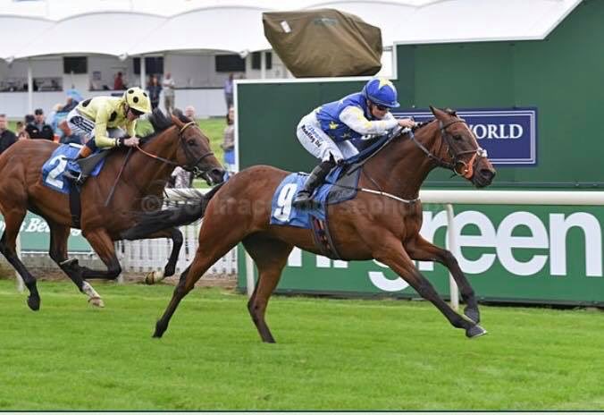 Good to see ⁦<a href="/paulamuir94/">Paula Muir</a>⁩ back in the saddle today ⁦<a href="/NewcastleRaces/">Newcastle Racecourse</a>⁩ after an injury lay off.  It is fitting that her first ride on her return is on the old boy Framley Garth. They have had some great days together in the past.