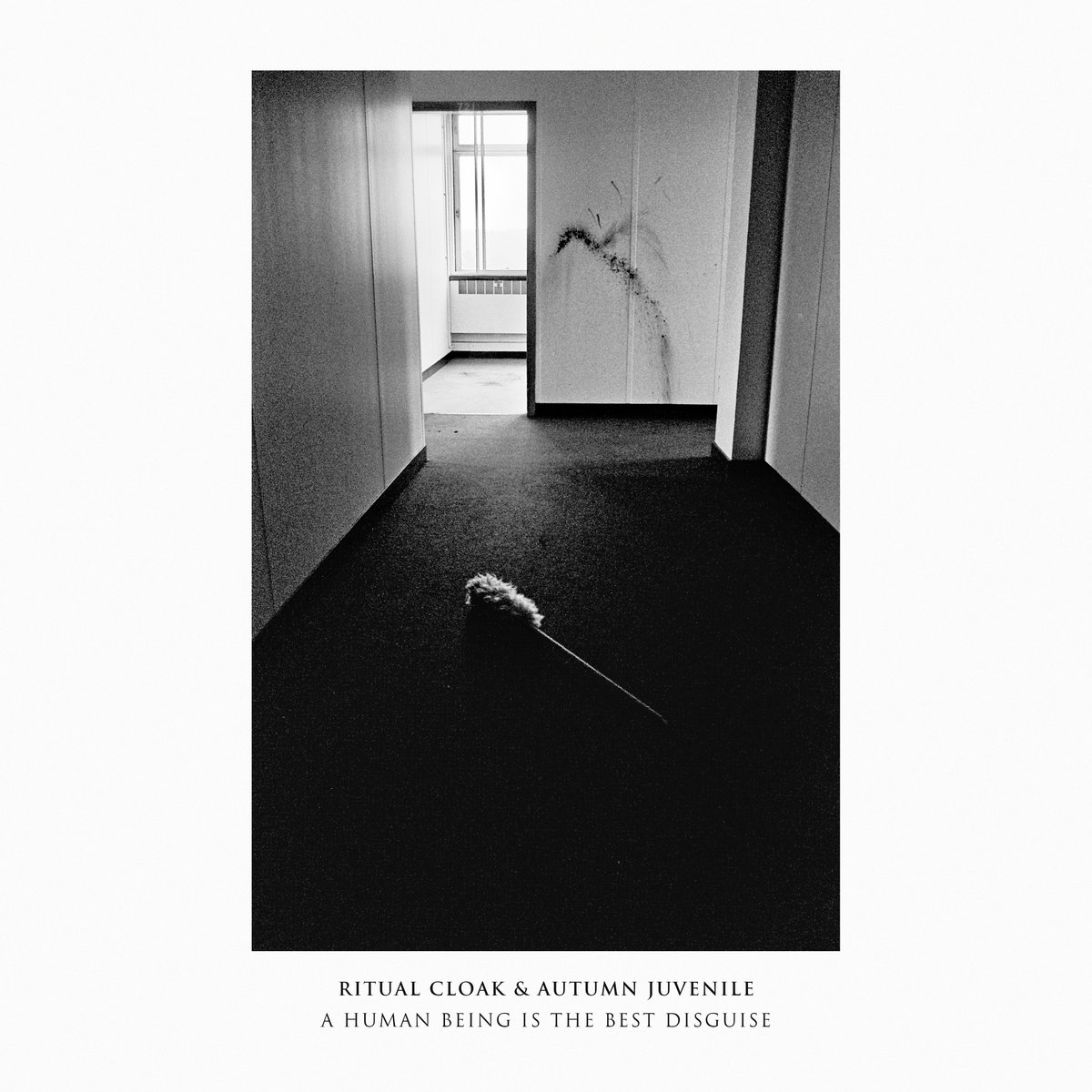Ritual Cloak (@ritualcloak) on Twitter photo It's release day! A Human Being is the Best Disguise, our collab w/ Autumn Juvenile (1/2 <a href="/Death_Hilarious/">The Death Hilarious</a>) is out now on all the usual platforms! Very thankful for working with such great friends as Darren & <a href="/JemmaRoper/">J Ropes</a> 🖖
🎧👉album.link/394rszpghmn69
💷👉ritualcloak.bandcamp.com/album/a-human-… It's release day! A Human Being is the Best Disguise, our collab w/ Autumn Juvenile (1/2 <a href="/Death_Hilarious/">The Death Hilarious</a>) is out now on all the usual platforms! Very thankful for working with such great friends as Darren & <a href="/JemmaRoper/">J Ropes</a> 🖖
🎧👉album.link/394rszpghmn69
💷👉ritualcloak.bandcamp.com/album/a-human-…