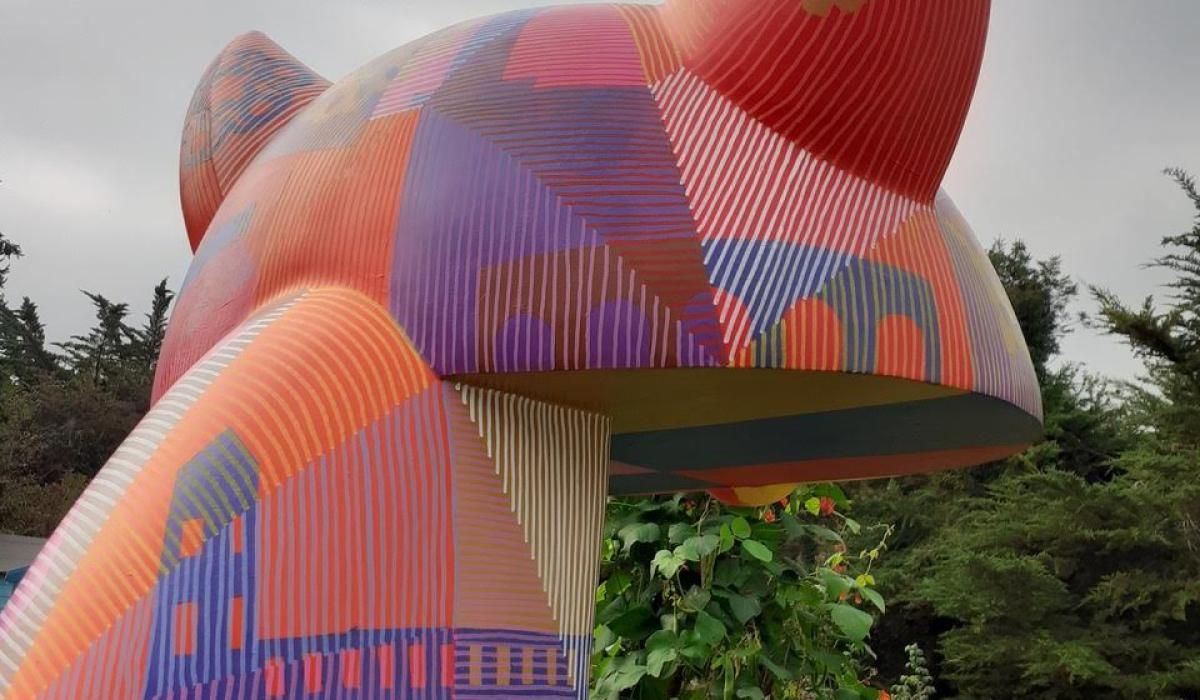 WalkKilkenny's tweet photo. The much-anticipated Kilkenny Catwalk will be officially launched on October 10 for Kilkenny Day.

The Kilkenny Catwalk 2021 is a trail of 21 Kilkenny Cat sculptures decorated by some of Ireland’s most talented artists. 

https://t.co/ZhRtb6RCYY @KKPeopleNews https://t.co/nH2IWncWa2