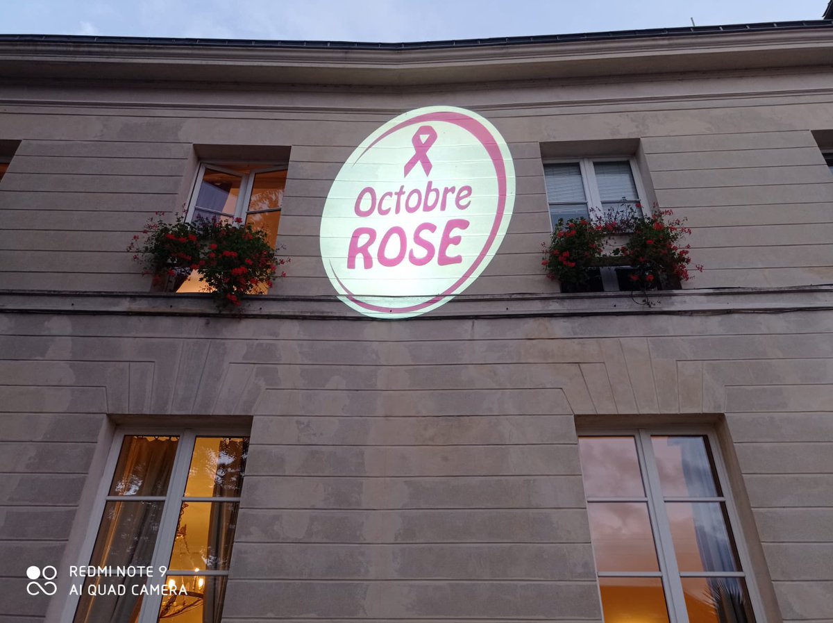 PriscilleS's tweet photo. #Pontoise Octobre Rose : le mois de prévention du cancer du sein. La Ville de PONTOISE soutien la lutte contre le cancer. Soyons tous mobilisés. @sve83 https://t.co/MfW1bO4uAV