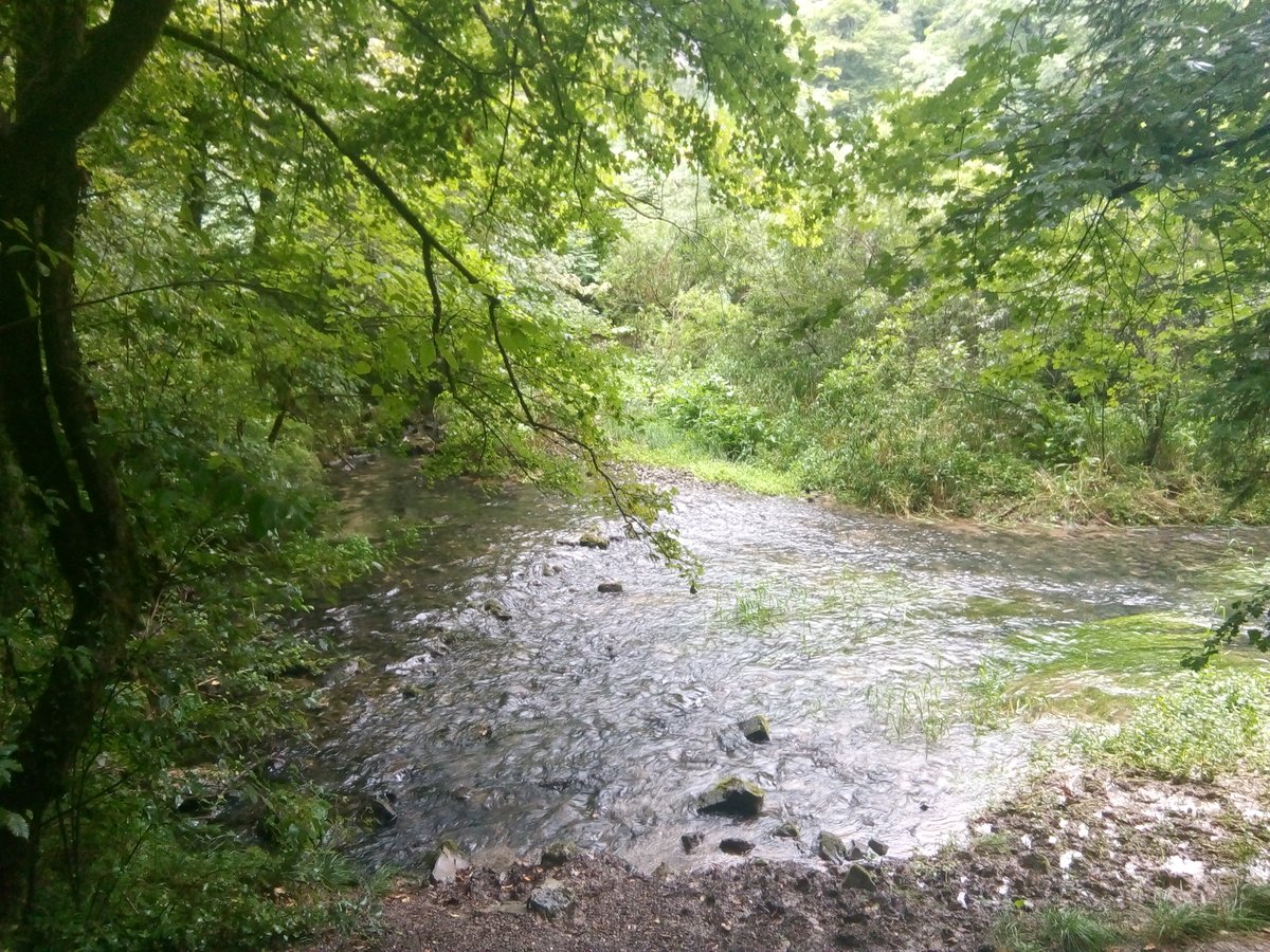 FSC Belgium tweet media