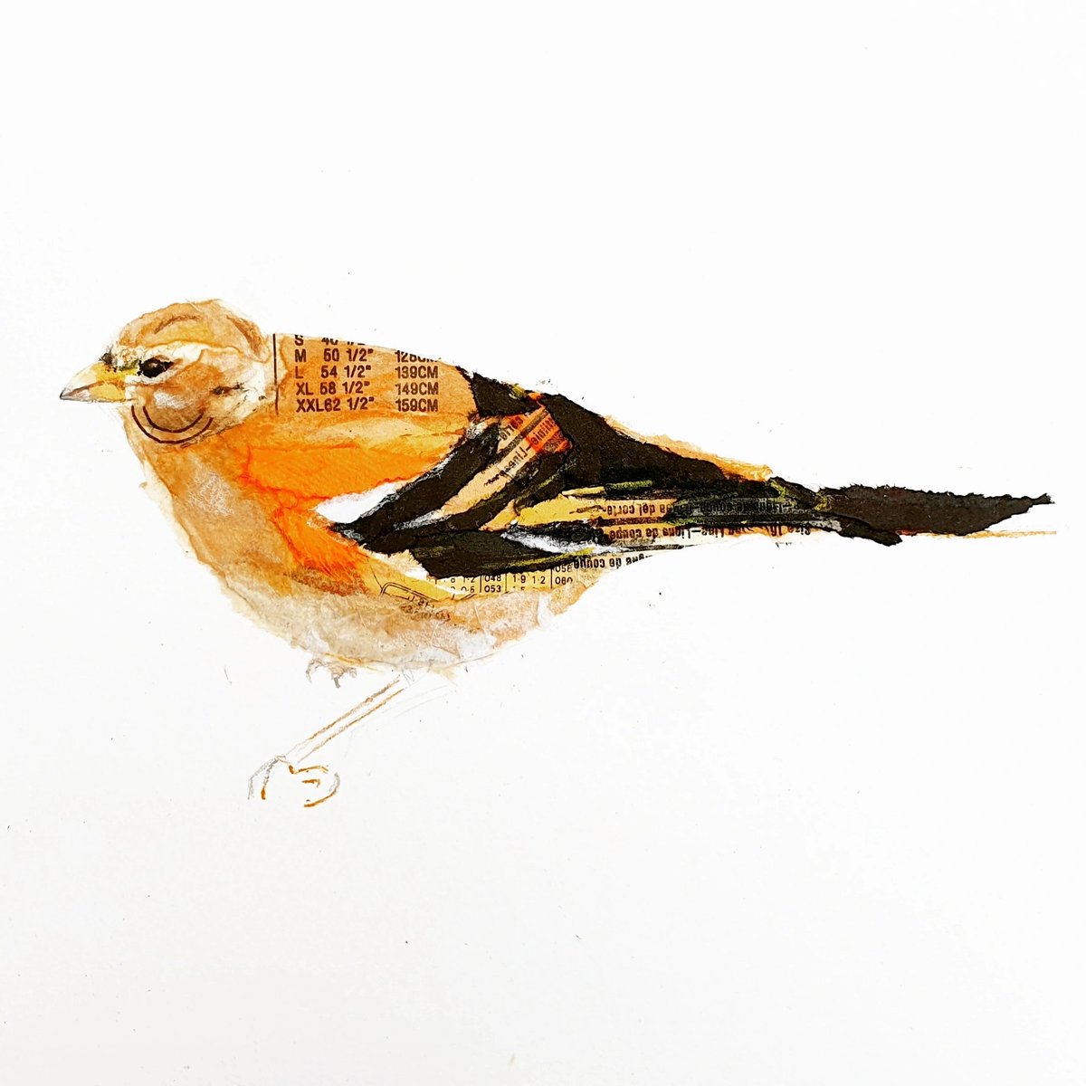 Brambling 
Paper collage 
#birdwatching #TwitterNatureCommunity <a href="/Natures_Voice/">RSPB</a> 
#BirdsSeenIn2021 #birdtonic