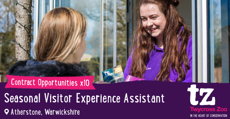 TwycrossZoo's tweet photo. No experience required as full training provided, work avail Oct 2021 to Jan 2022.

Read the full job ad here: https://t.co/LJsKwyEc0p

#customerservicejobs #Atherstone #SeasonalJobs #JobsinZoos #RetailJobs #TwycrossZoo https://t.co/bTYVn8Fbp2