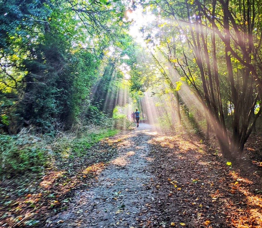 parkrun UK tweet media