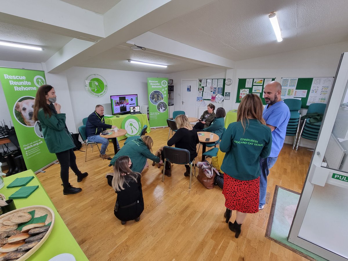 EdinDogCatHome's tweet image. Almost ready to kick off #InTheDogHouse2021 🐶 🏡