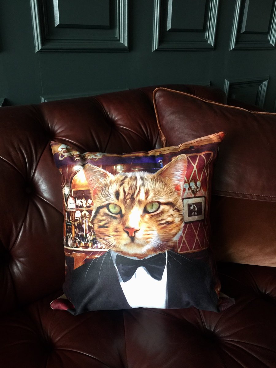 ⁦<a href="/Purrandmutt/">Purr & Mutt</a>⁩ transformed my cat into a work of art 😻
Maybe do humans next?
#cats