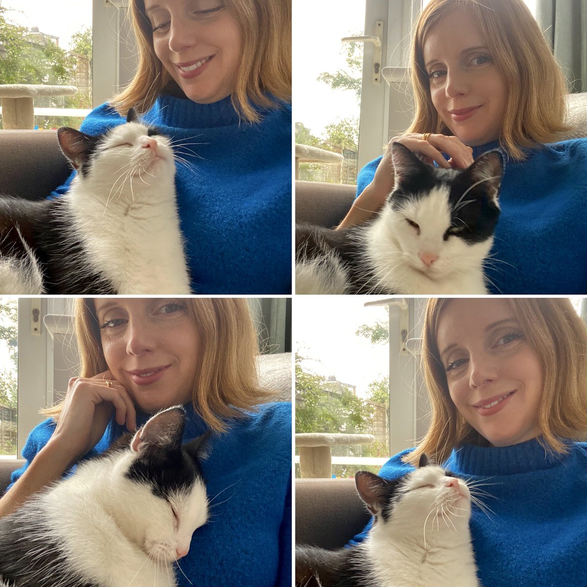 Fran Taylor tweet media