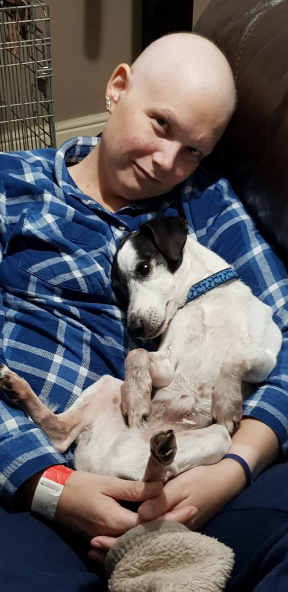 blueyebutterfli's tweet photo. @KariByron So sorry. Nothing can ever replace the companionship of your dog. 🥺(my boy nursed me through chemotherapy) ❤️ https://t.co/KcoUWlm4oI