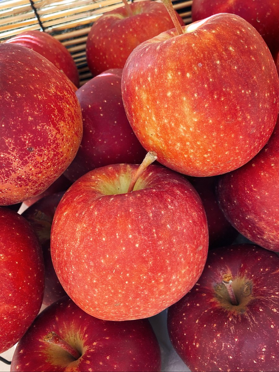 KBOX_nishikubo3's tweet photo. こんにちは😊
今日もたくさんのフルーツを入荷しました🍎
◎レッドゴールド(リンゴ) ◎早秋柿 ◎バナナ ◎天みかん ◎梅&りんごジュース ◎国産フルーツゼリー 他
おつとめ品も多数あります!お買い得!
#武蔵野市 #三鷹駅 #KUDAMONO #果物 #吉祥寺 #無人販売所 #バナナ https://t.co/lm9V9SYZql