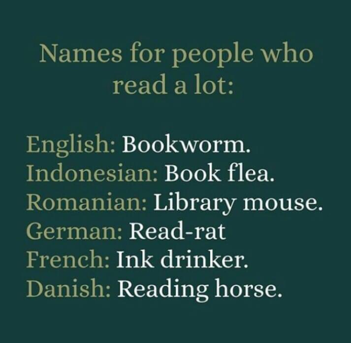 r_c_hayden's tweet photo. So this is interesting…

Which is your favourite #writingcommmunity ?

And which are you? 👀

I’m a bookworm, favourite is ink drinker 🤣

Not my image - but it’s cool to see!

#bookworm #bookflea #librarymouse #readrat #inkdrinker #readinghorse https://t.co/0F0VSlBhVF