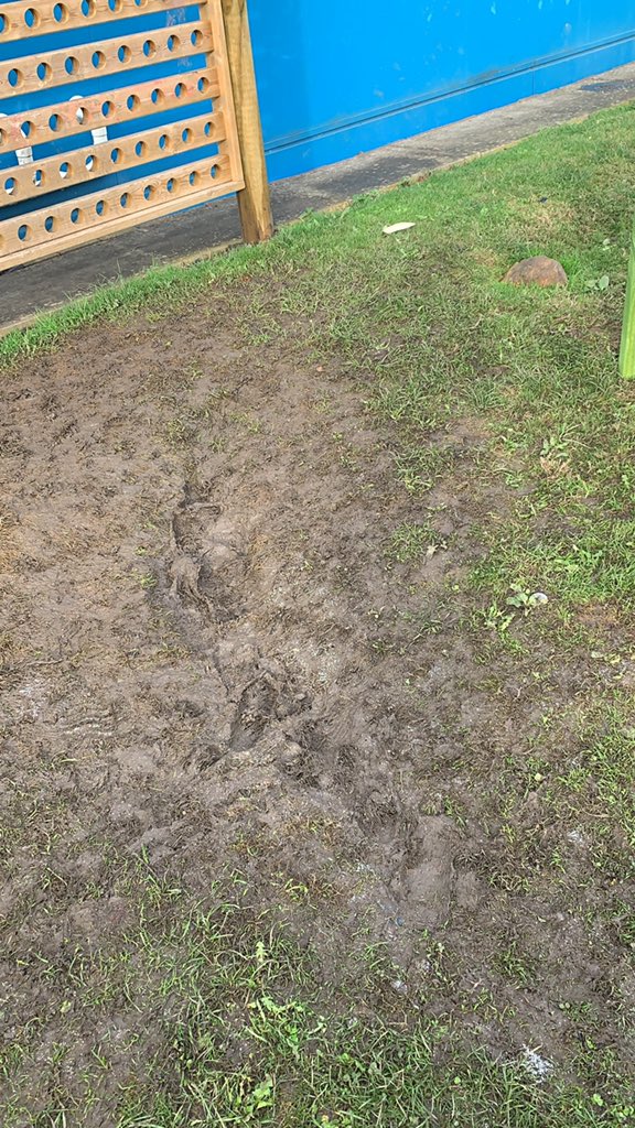 ShonetteBason's tweet photo. Any one?! #outdoorprovision #mudgate https://t.co/sbH4glgAQZ