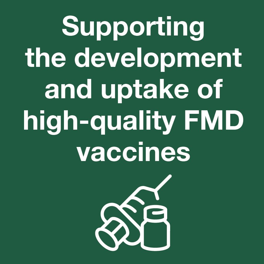 GALVmed's tweet photo. Africa is notoriously underserved with #FMD vaccines, particularly in Eastern Africa. New high-quality #vaccines will play a vital role in controlling the disease and could reduce poverty in Eastern Africa.
More about the @AgResults #FMDProject ๐ https://t.co/oYg2ME9E3r https://t.co/59cSY64kq6