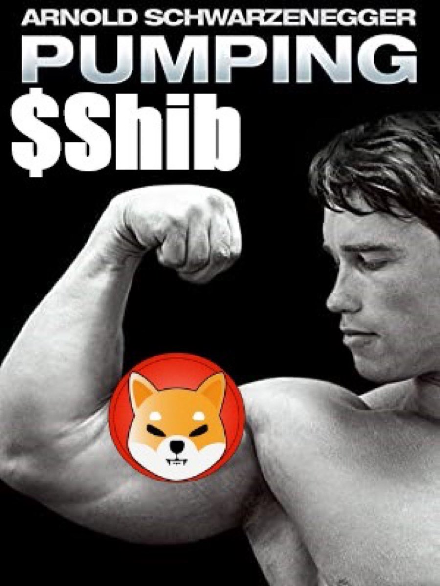 lollo0770744's tweet photo. Arnold is pumping..
#SHIB #SHIBARMY #shiba https://t.co/G5e4C0gRN5