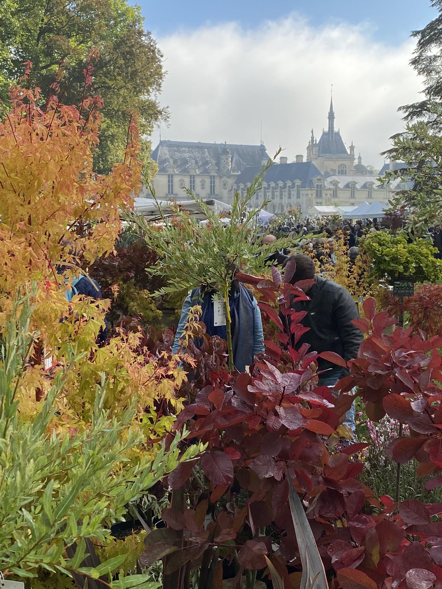 alaindelavie's tweet photo. Quelques images de Les Journées des Plantes de Chantilly maintenant sous un magnifique soleil. @CdeChantilly https://t.co/3XsOMd6L9F