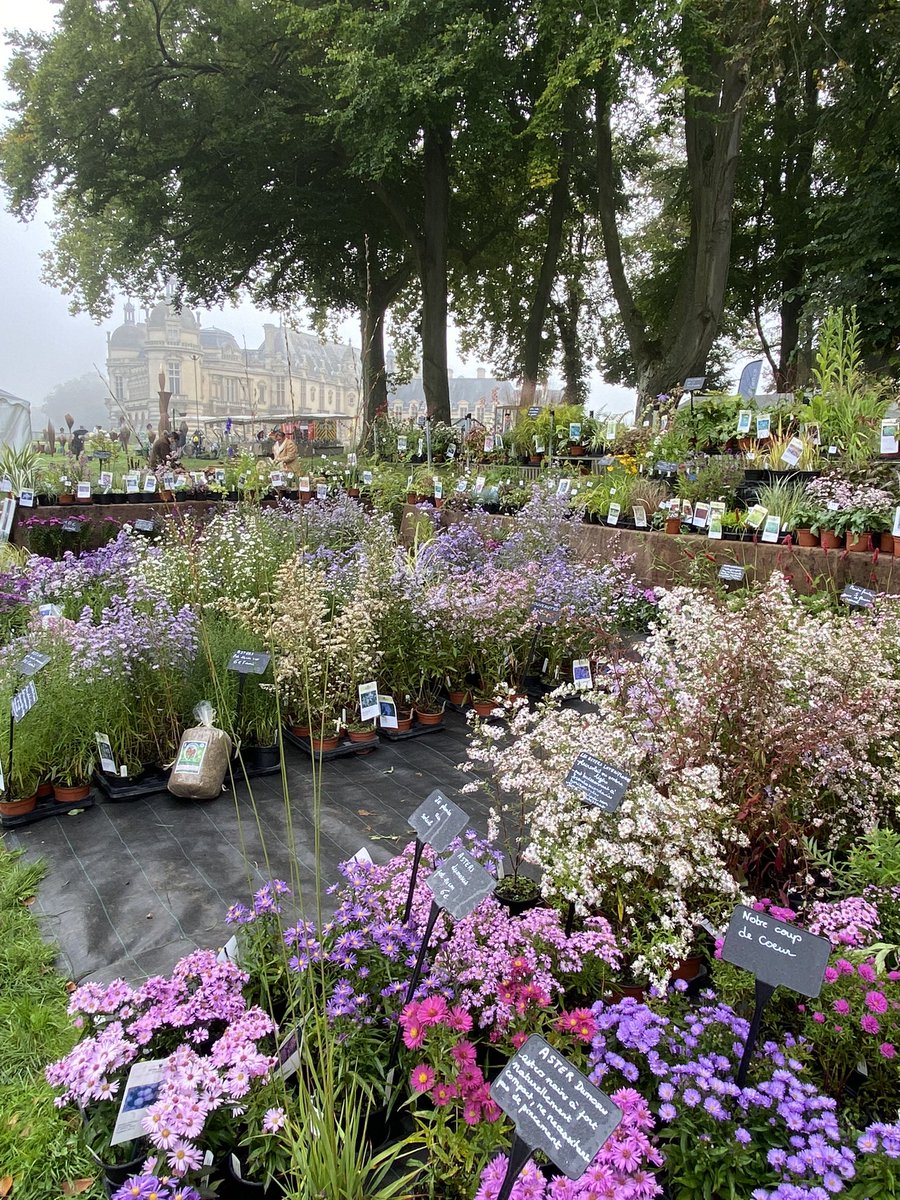 alaindelavie's tweet photo. Quelques images de Les Journées des Plantes de Chantilly maintenant sous un magnifique soleil. @CdeChantilly https://t.co/3XsOMd6L9F
