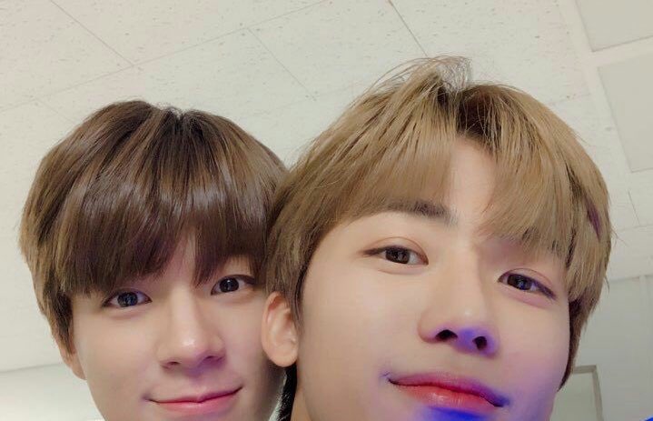 xyhbmnne's tweet photo. เรียกเหมียวเหมียวเดี๋ยวก็มา https://t.co/2DksHJAEUP