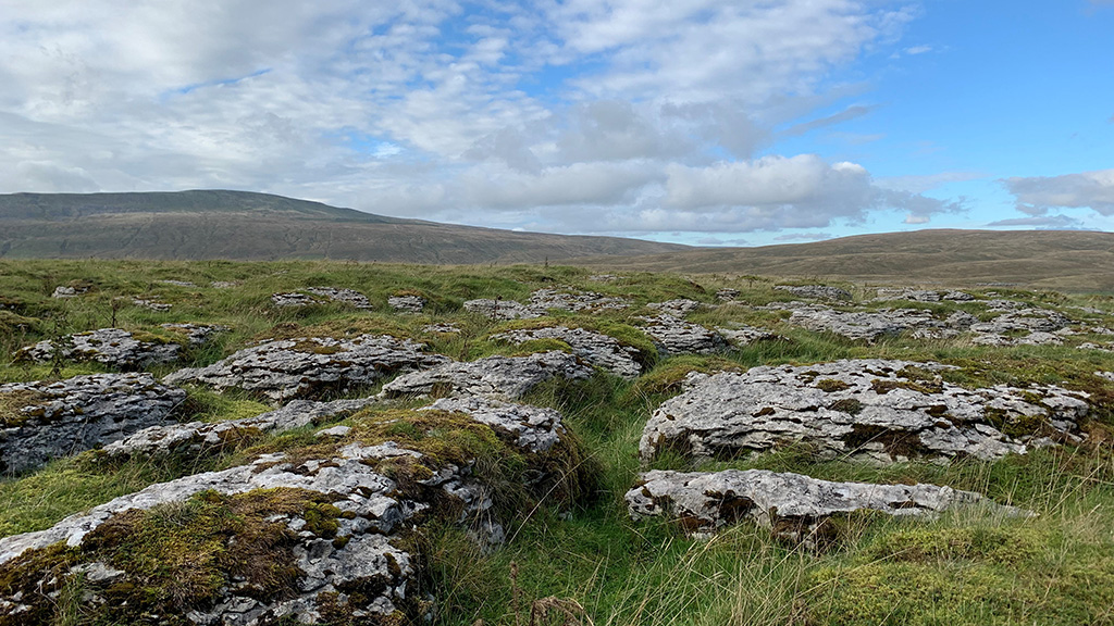 NEChiefSci's tweet photo. One of our teams just had a great day, out connecting with people and nature at our @IngleboroughNNR.  Experiencing #rewilding and viewing the local limestone pavements whilst finally meeting colleagues in person!  #WiildIngleborough https://t.co/v9gmu6MWLS