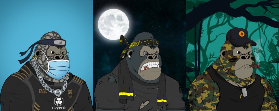 RareHunt's tweet image. Furious Alpha Gym Club #NFT @FuriousAlphaGC just added on @RareHunt 

10,000 unique 1/1 #NFTs that grants access to the most ambitious project in the #NFTCommunity.

Discord: discord.com/invite/rcyRYG5…
RareHunt: rarehunt.io/collections/fu…