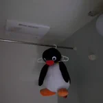 昨日干したピングーのぬいぐるみ!忘れていて見たらびっくりしたw