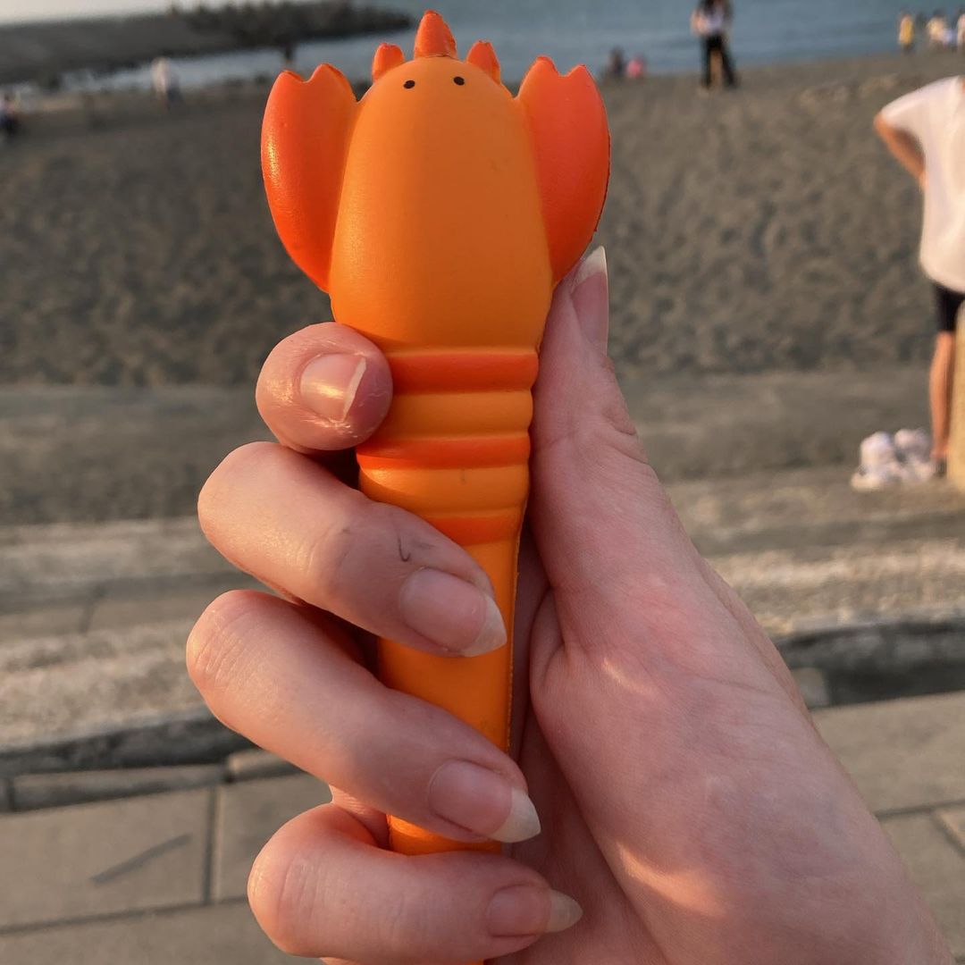 RachaelBao's tweet photo. Went to the beach and got my feet all sandy just to take pictures of my #lobstrosity pen. @DerryPublic and @LosersClubPod gets the joke. *spoilers* I broke a nail. #thedarktower #drawingofthethree #stephenking https://t.co/CsjDpBJ09p