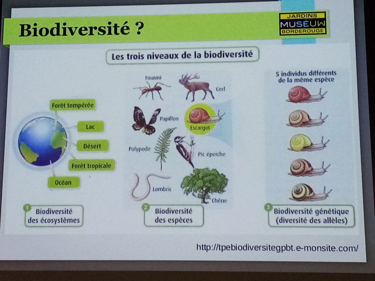 Le Muséum d'histoire naturelle de Toulouse accueille ce jour les coordonnateurs EDD 1er et 2nd degré des 8 départements de l'académie. Valoriser et accompagner les projets EDD des écoles et établissements. <a href="/eddtoulouse/">EDD Toulouse</a>, @Dsden09, <a href="/DSDEN31/">DSDEN 31</a>, <a href="/PARC_PA/">Parc naturel Pyrénées Ariégeoises</a>