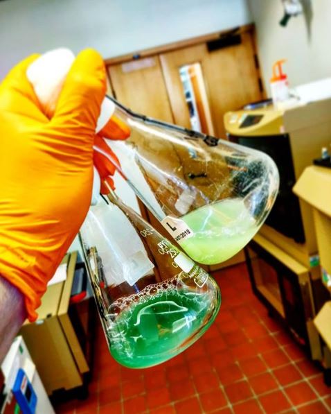 DannyJamesWard's tweet photo. #IAmABiologist - I am a PhD student at the @JohnInnesCentre. My research focuses on molecular microbiology, biochemistry and plant health. I'm working to increase our understanding of the infection processes of pathogenic bacteria 🦠🌱🏥

#BiologyWeek @RoyalSocBio @BS_PP @biouea https://t.co/KpJF9zfT4c