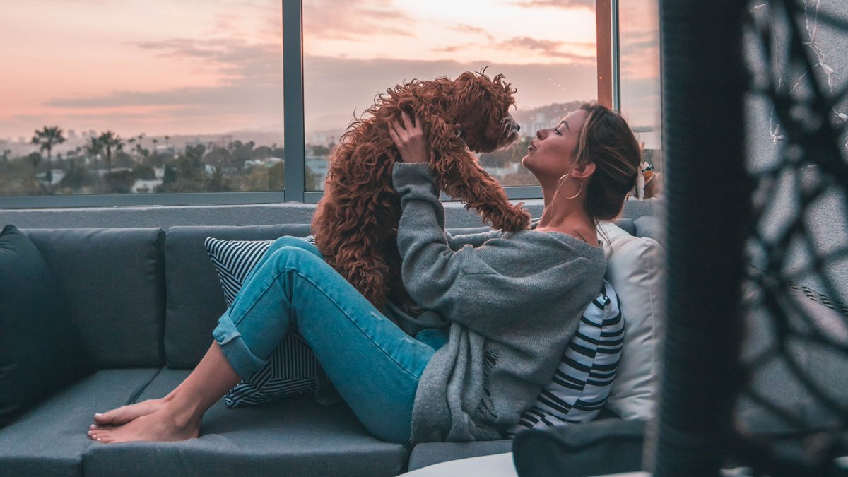 FRI-YAY - What a week!

Time to relax and spend some quality time with your doggo.🐕💙

#weekendvibes #dogsoftwitter #FridayVibes  #FridayFeeling