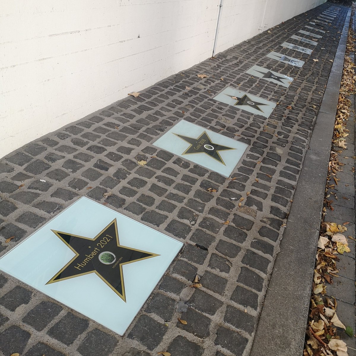 Finally the 🌟 of our latest tournament champion <a href="/HumbertUgo/">Ugo Humbert</a> has arrived 😍 We think it fits our "Walk of Fame" perfectly 🙌