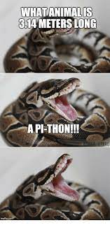 Carike_B's tweet photo. Would this be considered a bad dad joke 😂😁  #PyConZA2021 #OfferZenswag @pyconza @TAKEALOT @Andela @SpanDigital @ThePSF @OfferZen @ThinkstCanary @afrolabs https://t.co/Kw0MK72IDO https://t.co/Ev6kfL35ad