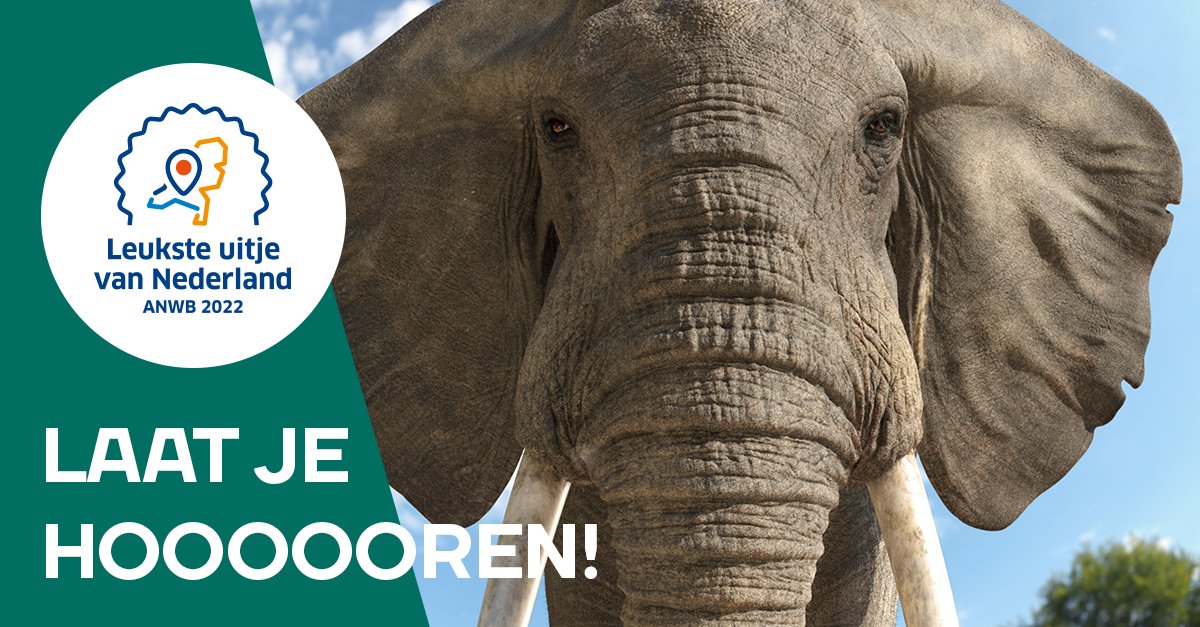 Hoera! 🎉 Ouwehands Dierenpark is door de ANWB genomineerd als leukste uitje van Nederland. Laat je stem horen via: bit.ly/3A1GLLv 🐼

#leuksteuitje #ouwehandsdierenpark #anwb