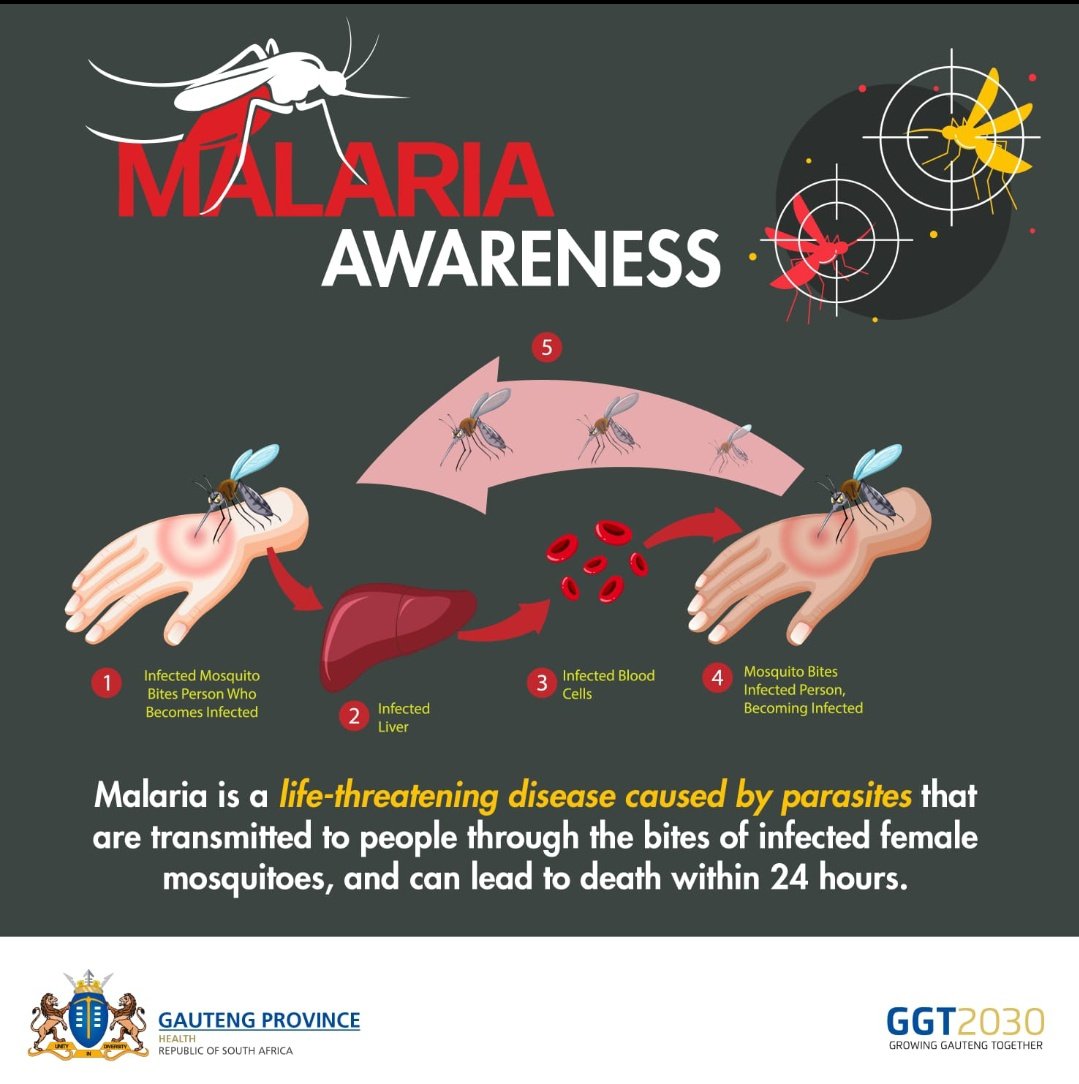 October to April is malaria disease season. Get tested if you have any flu-like symptoms after visiting a malaria prone area #malaria