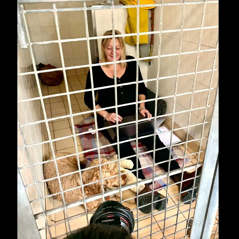 *Chirp chirp*
We're in! Raising vital funds for #EdinburghDogAndCatHome.
Please, if you can donate at bit.ly/3m4JuPj. Each and every penny counts &amp; if we get to £500 I get a chair to sit on and we edge closer to our target of £1,00
Thank you 
#inTheDogHouse2021 #rescues