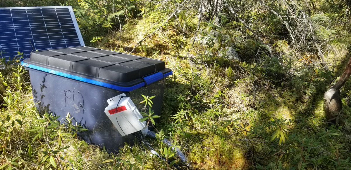 MatthewQmar's tweet photo. Day 3 of the @Canadianyhs #WhereIsCYHS: Science Fails & Lessons Learned!
Here, no matter how convinced you are of your waterproofing job for homemade loggers (cc @RolfHut), there is always a bear around to bite open your rubbermaids to dump everything into a nearby puddle🙃🌊🐻 https://t.co/rs42ZDuH2O