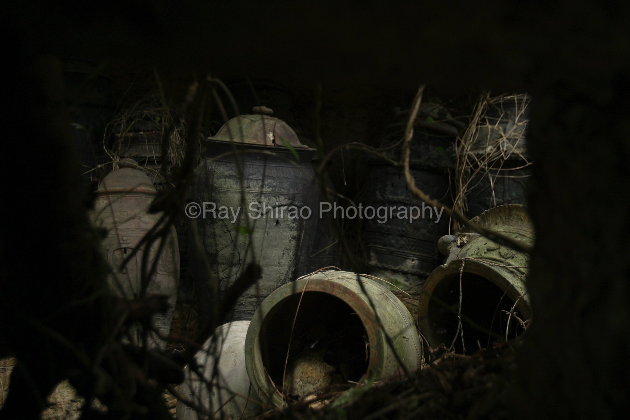 See Rayshirao S Tweet On Oct 8 21 Twitter