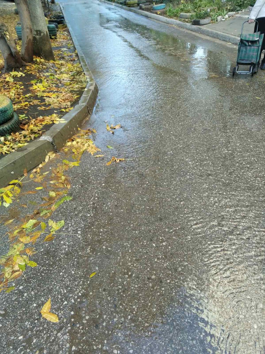 Управляющий микрорайоном №20(Кировский район) tweet media