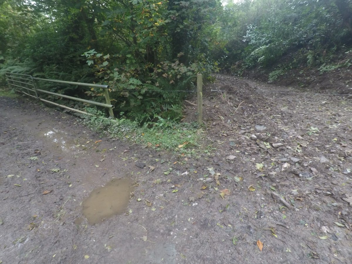 ROADRUNNER tweet media