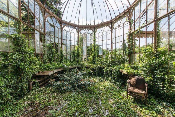 DothTheDoth's tweet image. Everyday I don’t live in abandoned greenhouse with a horrifying backstory is a day lost