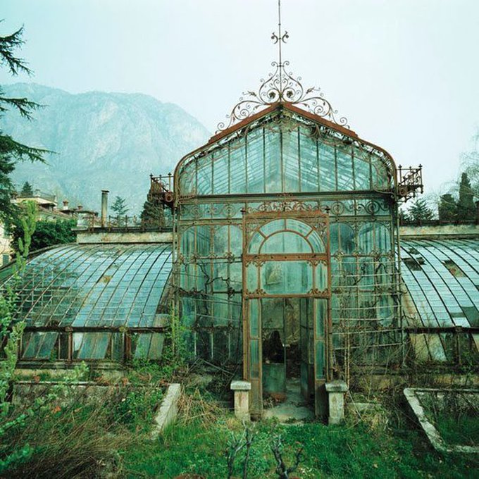 DothTheDoth's tweet image. Everyday I don’t live in abandoned greenhouse with a horrifying backstory is a day lost