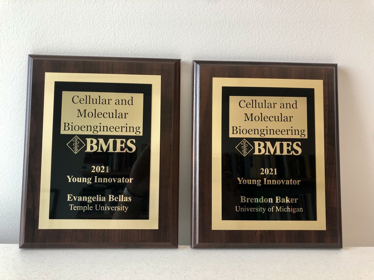 Today's the day! Head over to Sago-Sabal Room (the big one) at 1:45pm to hear from our first two 2021 Young Innovator authors: <a href="/BellasFATLab/">BellasFATLab</a> and <a href="/BakerLaboratory/">Baker Lab</a> . #BMES2021 conference co-chair @peytonlab is moderating this session!
<a href="/BMESociety/">Biomedical Engineering Society</a>