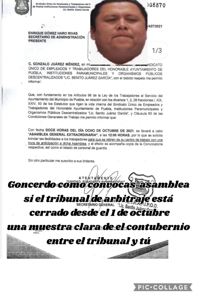Rodolfo84460225's tweet photo. @GonzaloJuarezM como siempre 
Queriendo engañar a la base trabajadora 
Me pregunto con qué jaladas Saldrás
Ya que tu patrona @RiveraVivanco_ ya se va
Y te andas bajando los calzones con @eduardorivera01 como siempre de tapete
De los que están en el poder https://t.co/nxqJUmNg8M