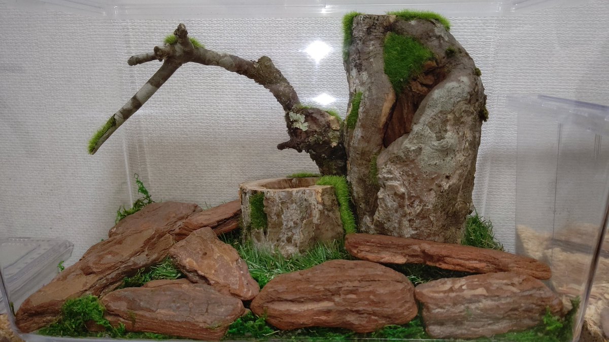 クワリウム بحث في تويتر