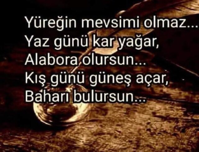 Nefertitititi8's tweet photo. Keyifli Akşamlar https://t.co/aI8cfUBm7m