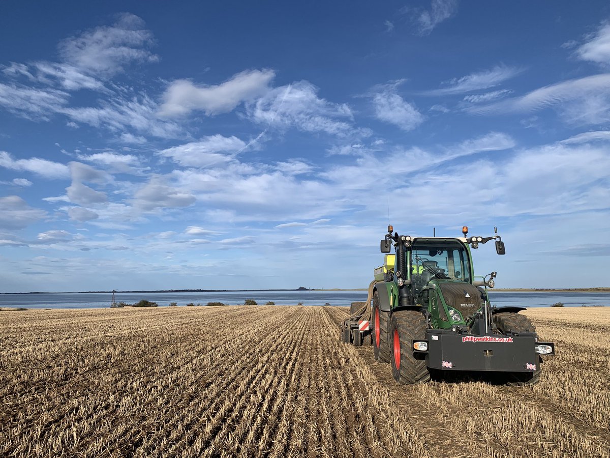 WillComber1's tweet photo. Skyfall going in a treat… does anyone know if views increase yield? https://t.co/dopU2X05xU