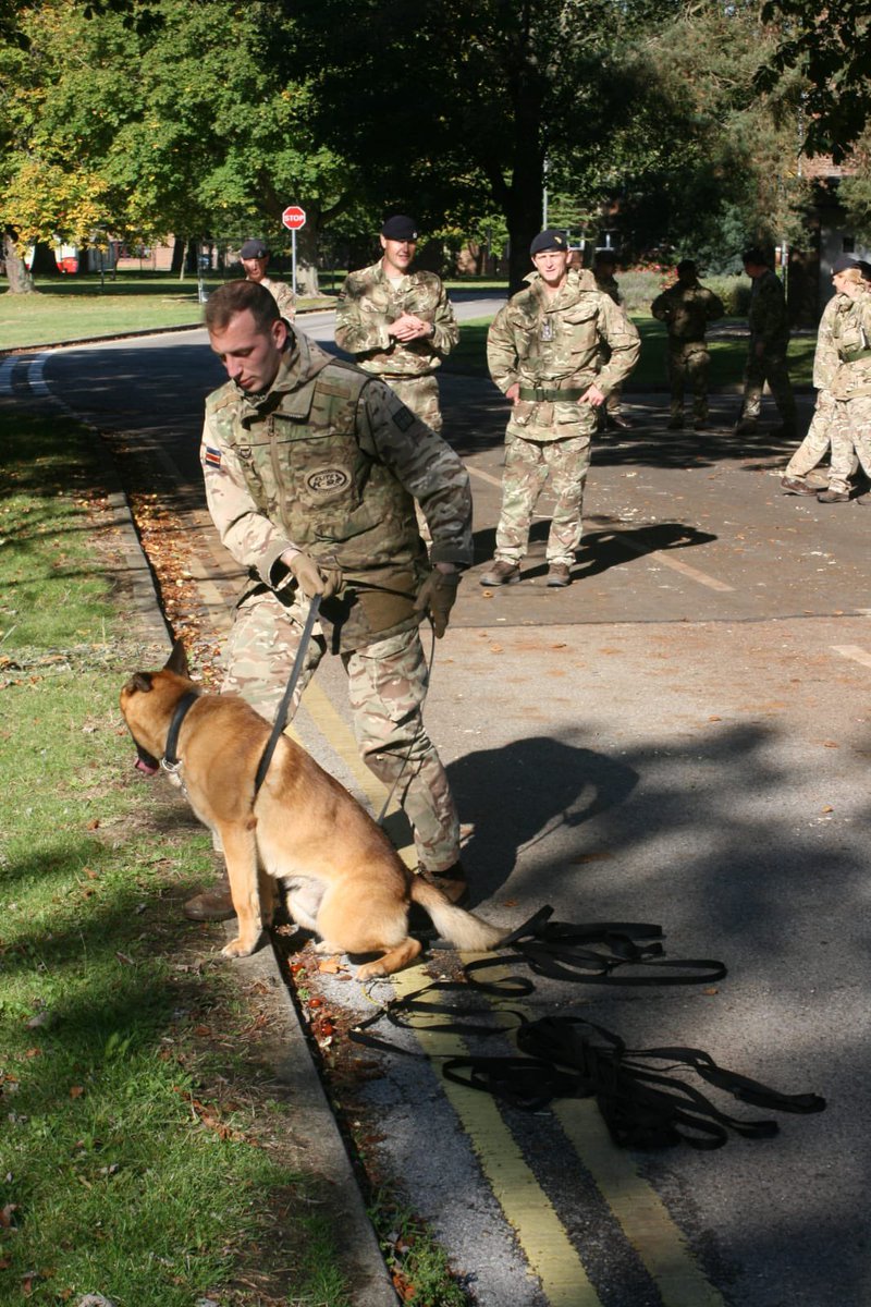 CO 1MWD Regt (@co1mwdregt) on Twitter photo <a href="/CO1MWDRegt/">CO 1MWD Regt</a> and all ranks of <a href="/1MWD_Reg/">1st Military Working Dog Regiment</a> would like to say a huge thank you to our new Comd <a href="/8EngrBde/">8 Engineer Brigade</a> for his visit this week. What a beautiful day to be out with our #RAVC personnel and #MWD! 😊<a href="/29eod/">29EOD&S</a> <a href="/Official_DATR/">Defence Animal Training Regiment</a> <a href="/CO1MWDRegt/">CO 1MWD Regt</a> and all ranks of <a href="/1MWD_Reg/">1st Military Working Dog Regiment</a> would like to say a huge thank you to our new Comd <a href="/8EngrBde/">8 Engineer Brigade</a> for his visit this week. What a beautiful day to be out with our #RAVC personnel and #MWD! 😊<a href="/29eod/">29EOD&S</a> <a href="/Official_DATR/">Defence Animal Training Regiment</a>