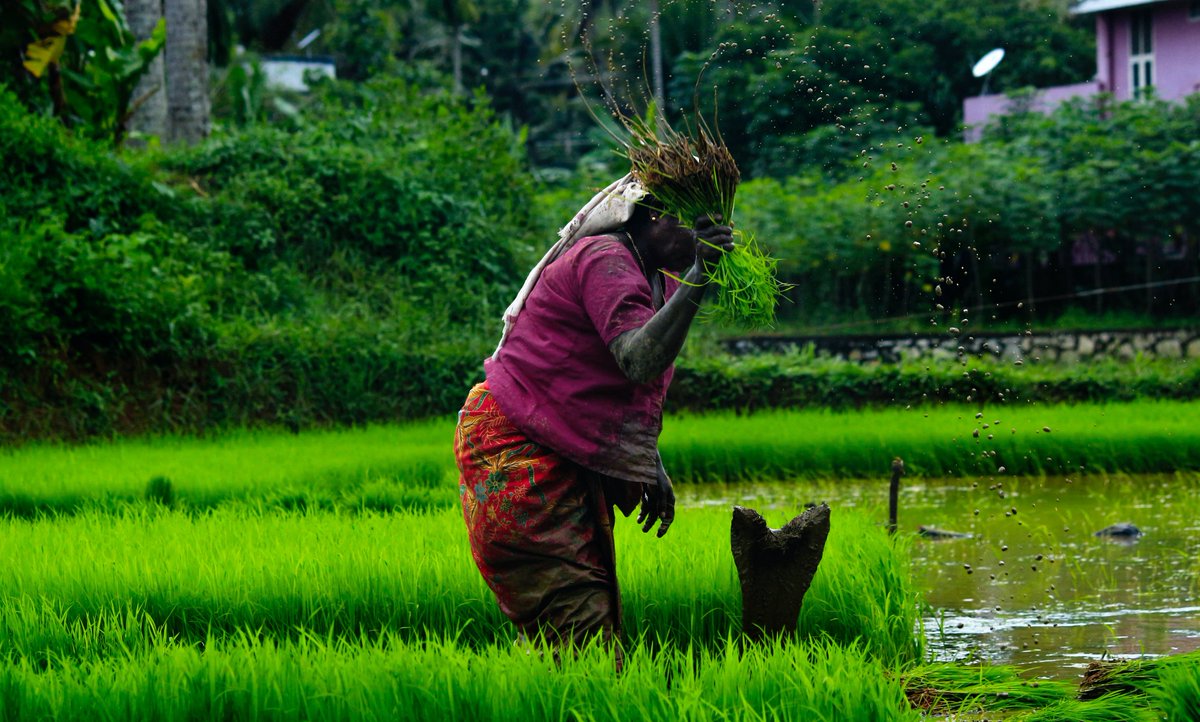 UNHumanRights's tweet photo. UN Human Rights Chief @mbachelet hails landmark recognition that having a healthy environment is a human right. She calls on States to take bold actions to give prompt &amp; real effect to the right to a healthy environment 👉 https://t.co/NvvzOKSyiE

#HRC48 #StandUp4HumanRights https://t.co/fJ0pfugiv5